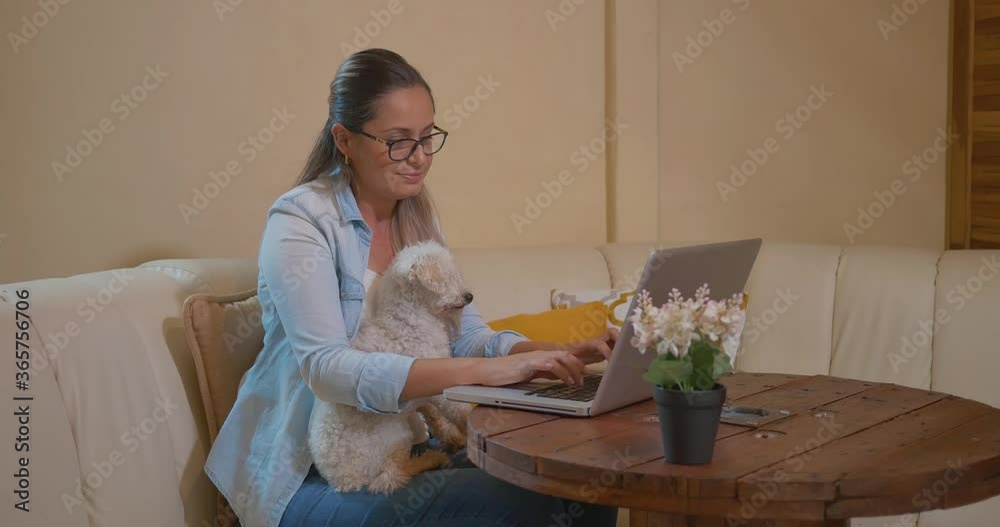 Latina woman telecommuting while caring for her pet, curly hispanic woman using laptop while working from home Latina woman telecommuting while caring for her pet, curly hispanic woman using laptop while working from home