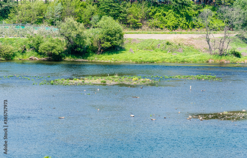 Landscape of river with small island in middle Landscape of river with small island in middle