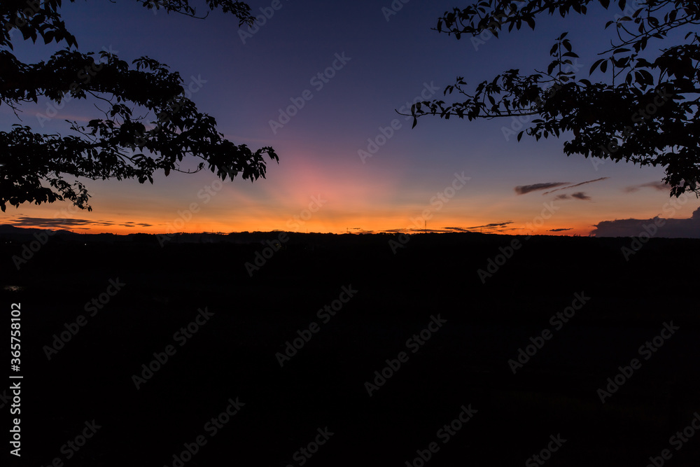 月夜に浮かぶ桜並木