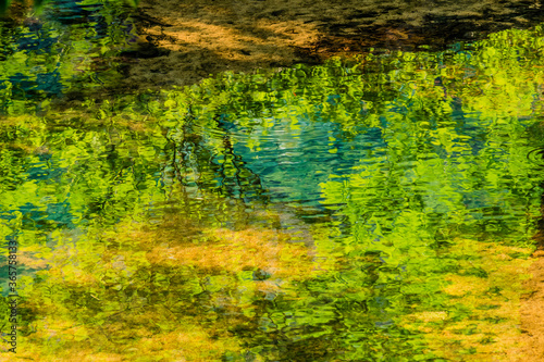 Fototapeta Naklejka Na Ścianę i Meble -  Reflections in a shallow stream