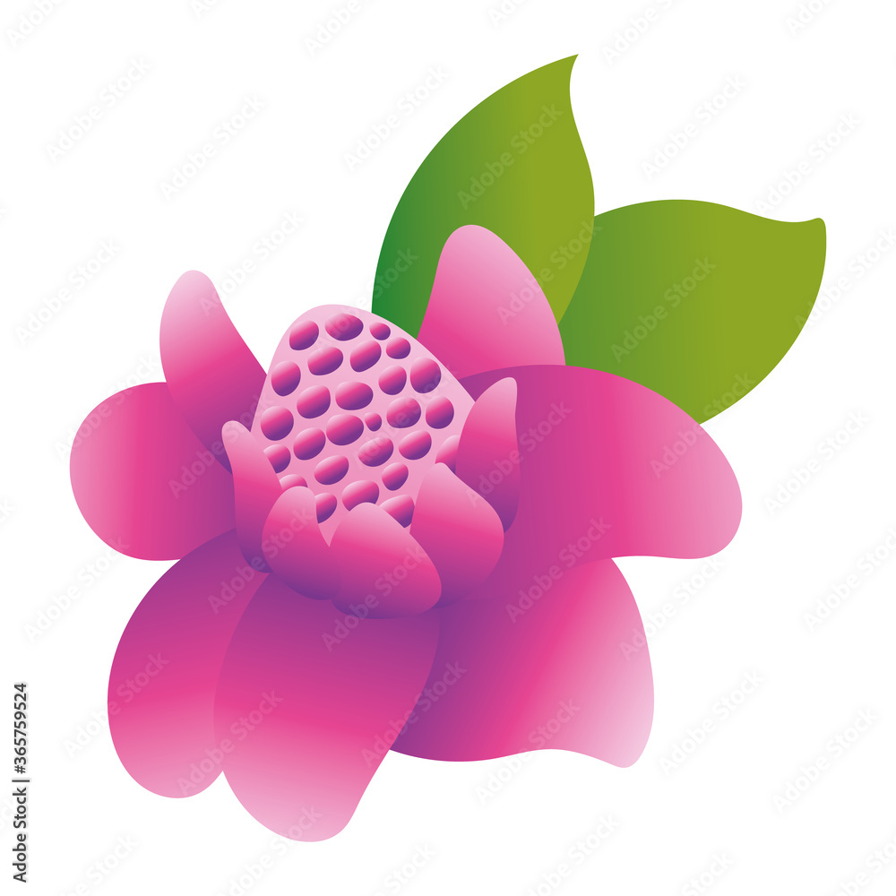 custom made wallpaper toronto digitalbeautiful flower and leafs garden gradient style icon