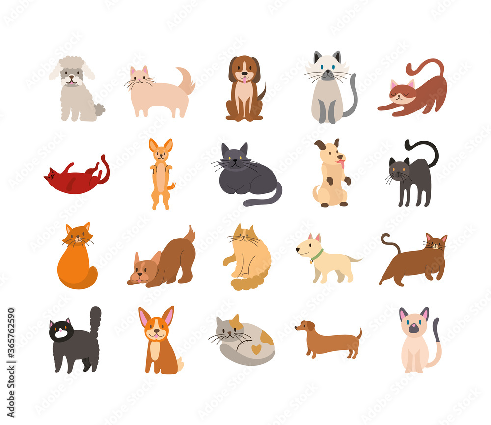Fototapeta premium bundle of cats and dogs set icons