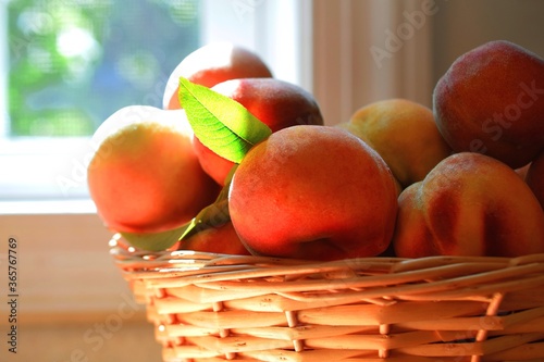 Close up of peaches in a wicker basket in a kitchen setting  with sun light shining through a window. For concepts related to food  fruit  nutrition  cooking  farms  agriculture  health  and freshness