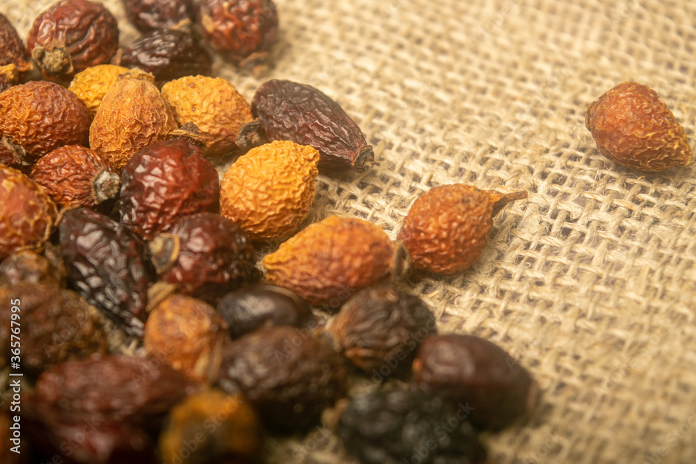 Obraz premium Dried rosehip fruits scattered on a homespun fabric with a rough texture. Close up.