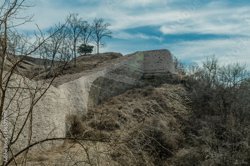 Section of mountain forest wall photo