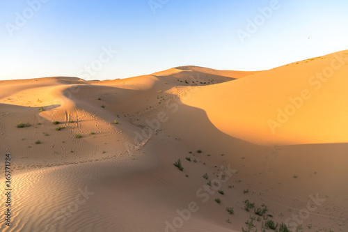 Sunset view of Sand dunes in XiangshaWan  or Singing sand Bay  in hobq or kubuqi desert  Inner Mongolia  China