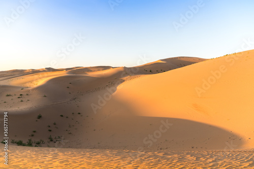 Sunset view of Sand dunes in XiangshaWan  or Singing sand Bay  in hobq or kubuqi desert  Inner Mongolia  China
