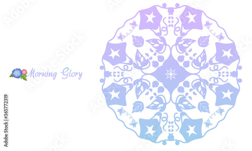 Vector illustration of lace motif of morning glory