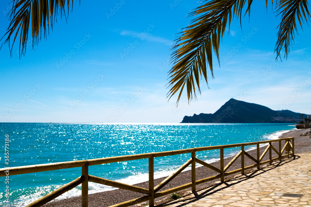 Palm leaves against the backdrop of the promenade of the city beach and mountains, the horizon line of the bright sunny blue sky and the azure Mediterranean Sea.