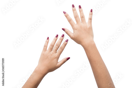 closeup of hand of a young woman with long red manicure on nails against white background