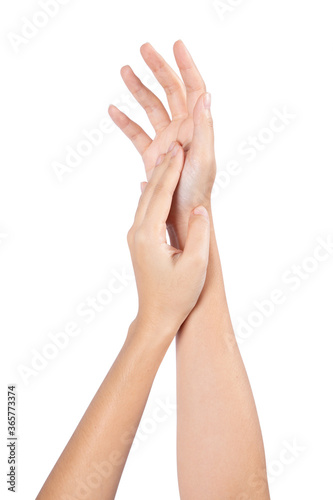 Beautiful Woman Hands. Female Hands Applying Cream  Isolated on white background