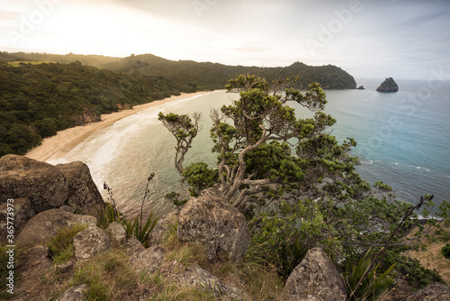 new chum beach, new zealand