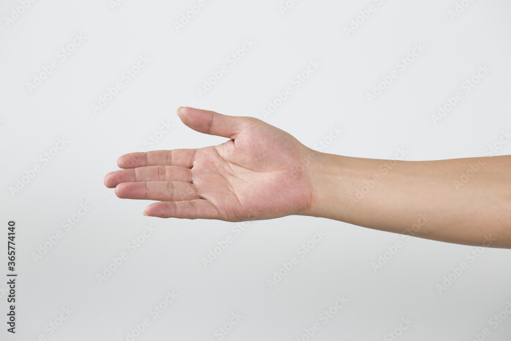 Young woman hand isolated on white background. Young woman hand isolated on white background.