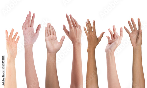 Many hands up isolated on white background