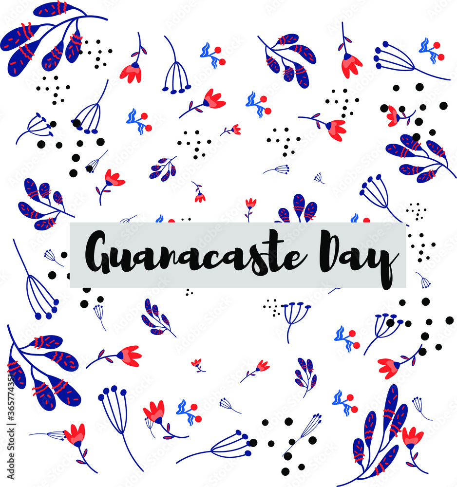 Gauanacaste day costa rica red blue flower poster