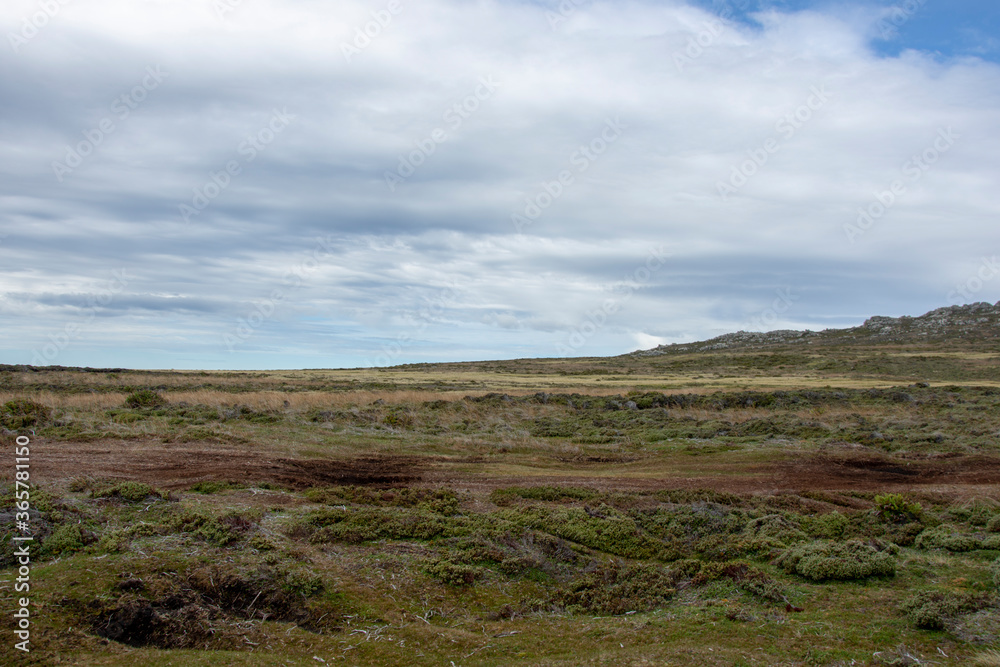 Falkland island landscape in summer