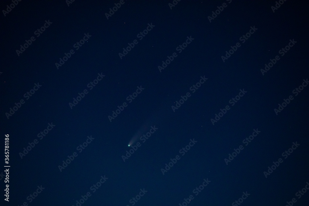 Neowise Closeup Neowise Closeup