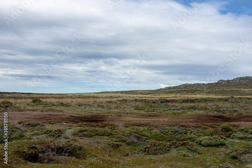 Falkland island landscape in summer