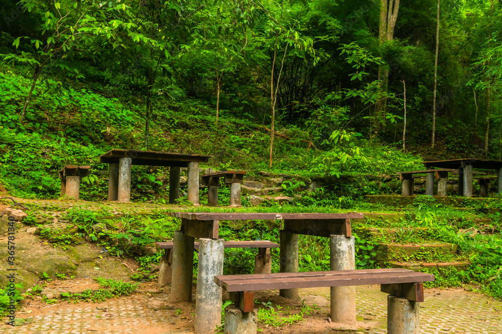 Wooden picnic tables in forest
