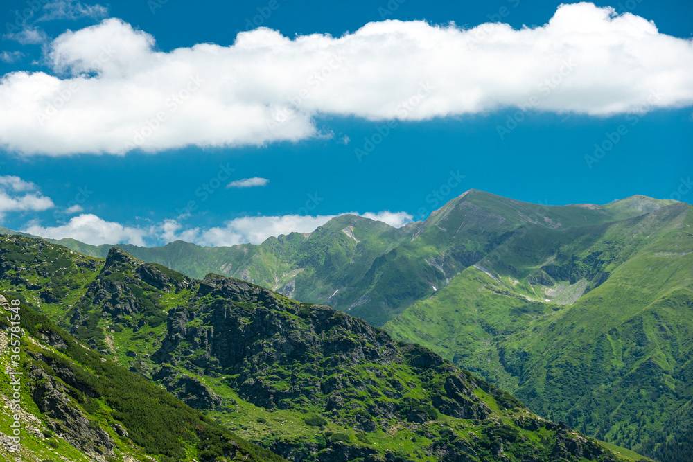 Amazing summer view of the mountain landscapes from Fagaras Romania with rocks forests and a lot of vegetation