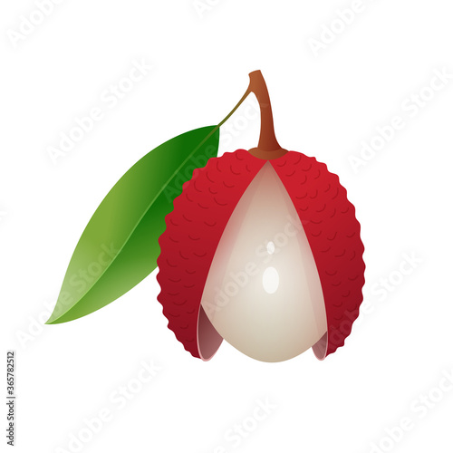 Opened lychee with parted peel. Fresh tropical exotic fruit. Organic, vegan, raw product. Healthy diet, food menu, packaging, label design vector illustration isolated on white background