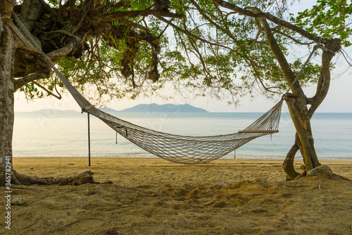 view on a tropical beach with hammock