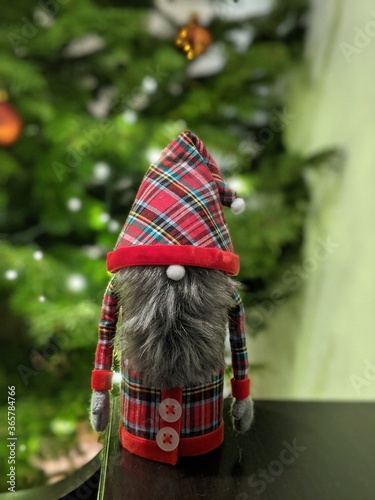 christmas knome photo