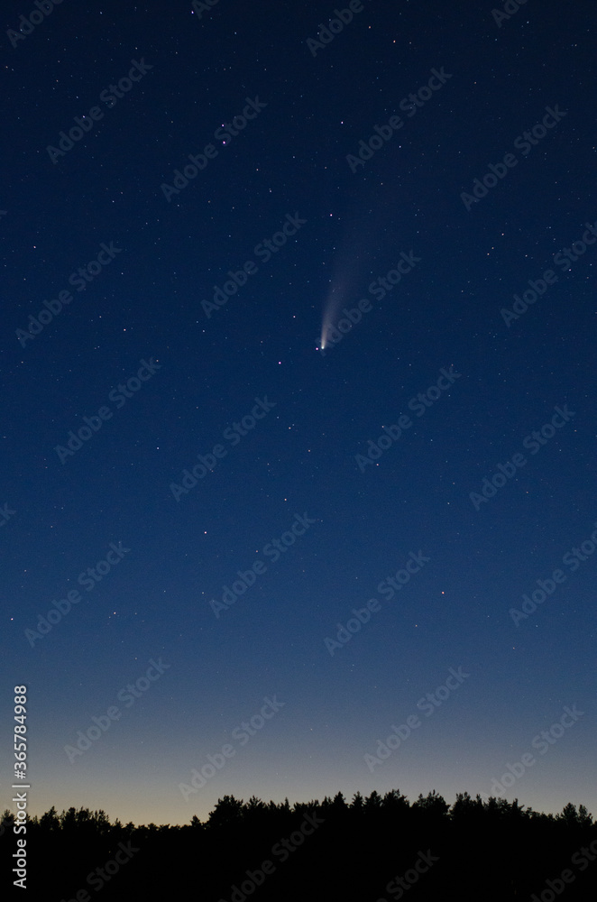 View Of The C/2020 F3 (Neowise) Comet Close-Up At Night Among The Stars.