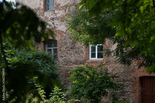  Old fortress (castle) wall with different new and old windows behind tree branches © Anna