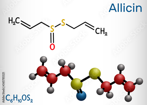 Allicin, sulfoxide molecule. This compound exhibits antibacterial and anti-fungal properties. Structural chemical formula and molecule model