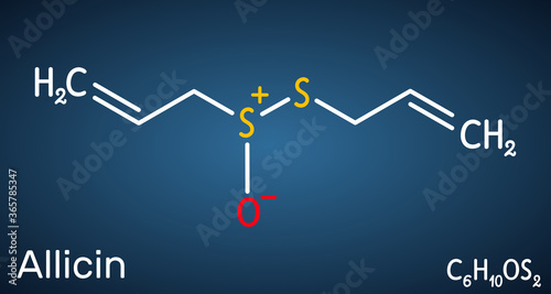 Allicin, sulfoxide molecule. This compound exhibits antibacterial and anti-fungal properties. Structural chemical formula on the dark blue background