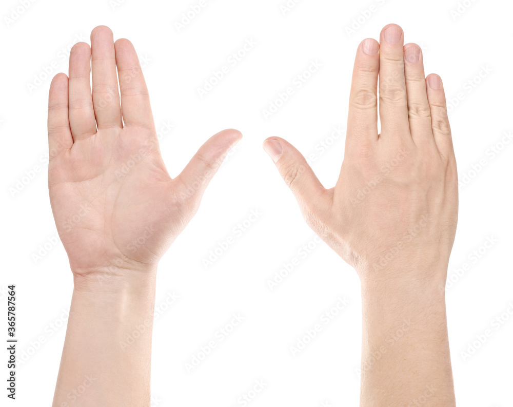 Raised hand, isolated on white background Raised hand, isolated on white background