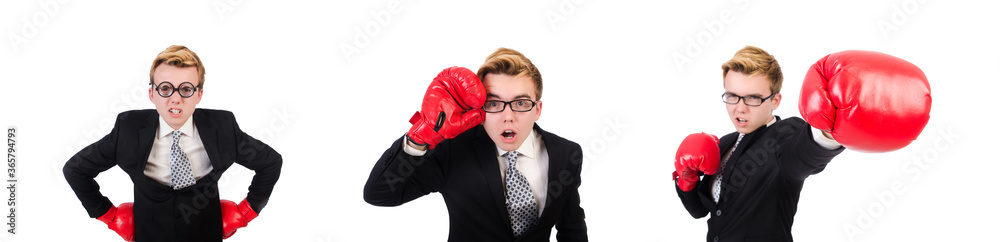 Young businessman boxer isolated on white Young businessman boxer isolated on white