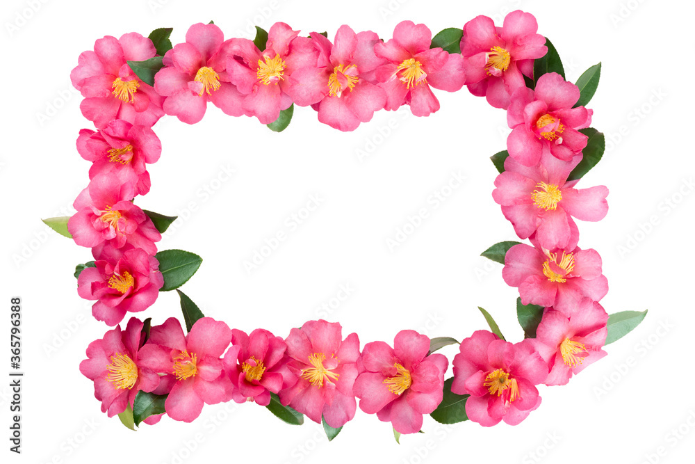 Tropical pink flower frame isolated on white background.