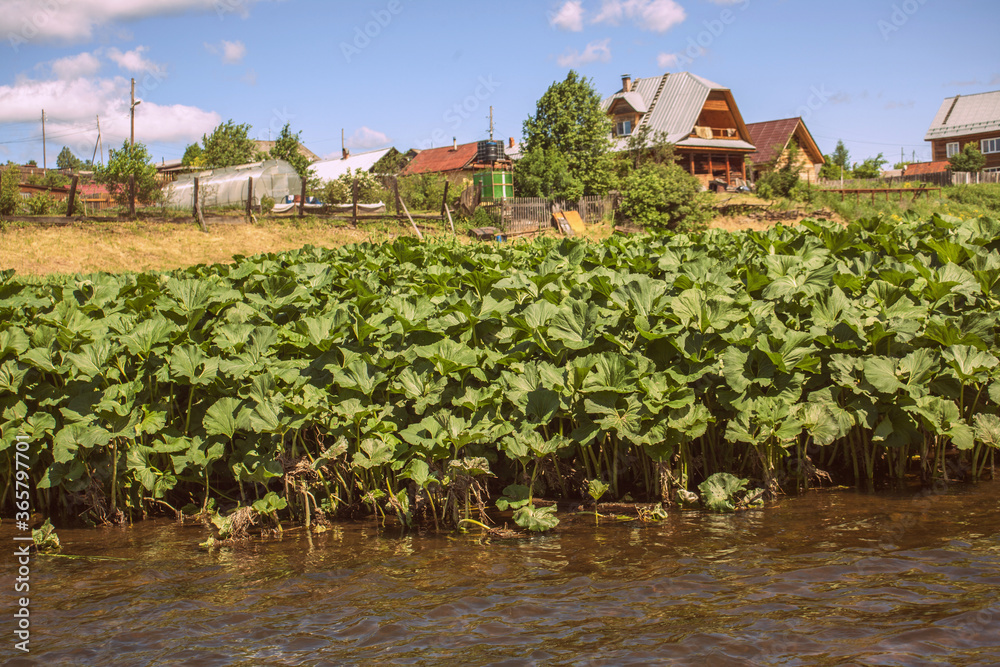 Obraz premium incredible beauty of the nature of the Urals, the banks of the Chusovaya river