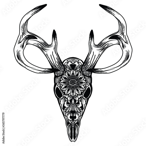 tattoo and t-shirt design black and white hand drawn deer skull engraving ornament premium vector
