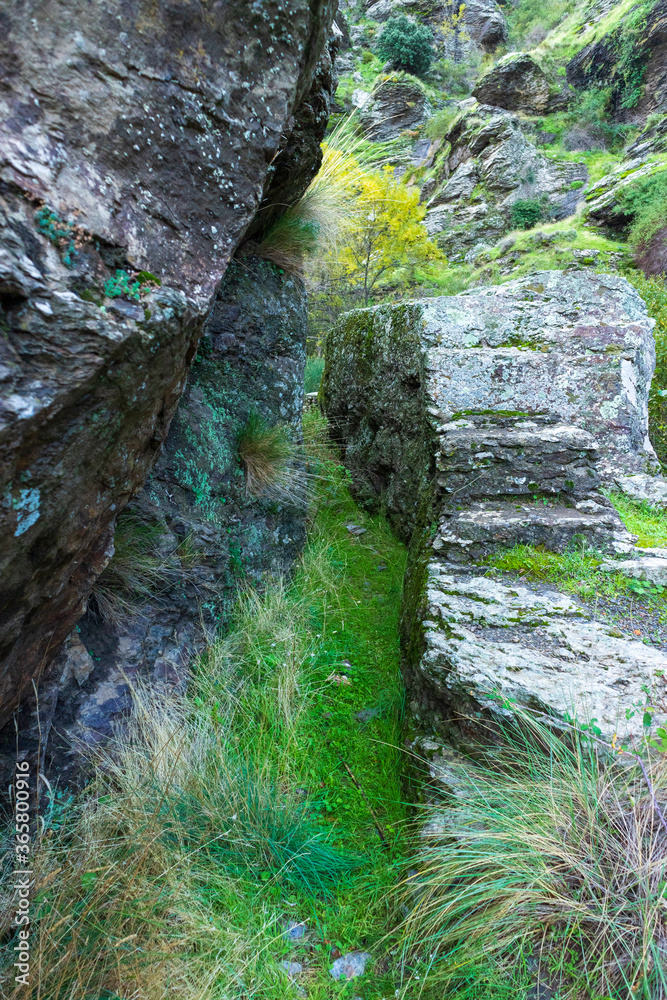 Obraz premium stone carved path with green vegetation