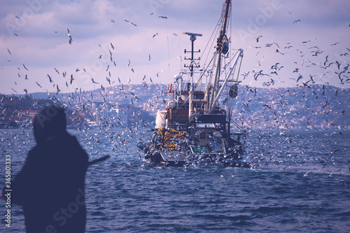 Photography The backside look of a fishing boat in Istanbul bosporus while seagulls are chasing the boat to catch fish from its net