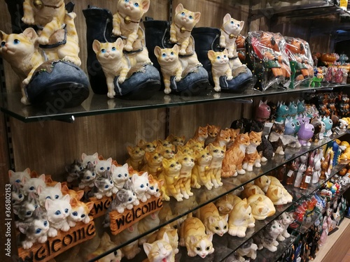 Into the Cat City