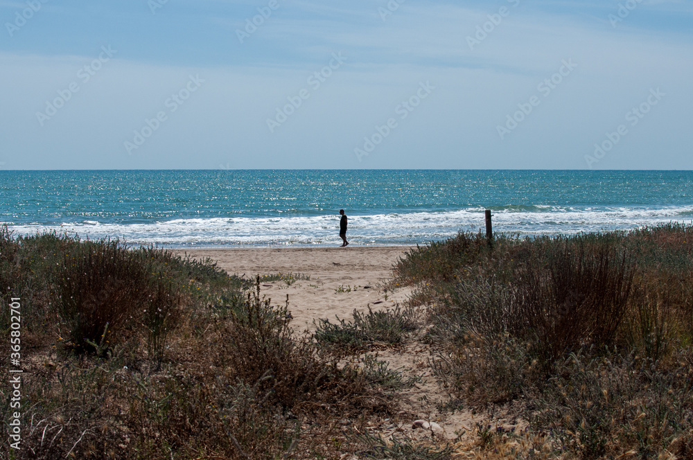 silhouette of a man walking by the shore silhouette of a man walking by the shore