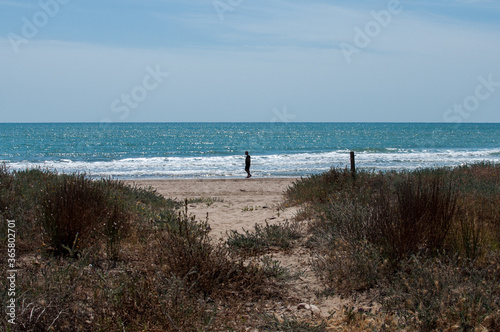 silhouette of a man walking by the shore
