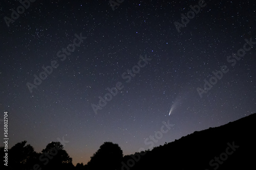 Starry night landscape with Comet Neowise.