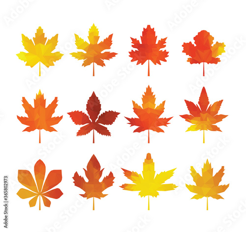 Color leaves icon vector set isolated on white background