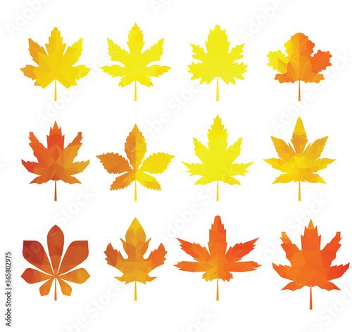 Color leaves icon vector set isolated on white background