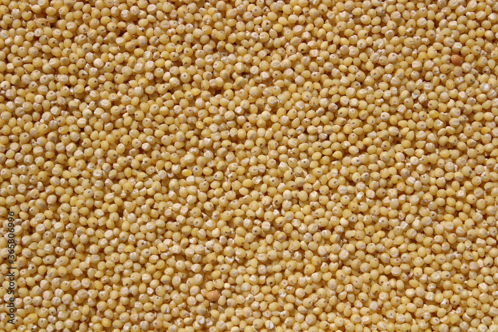 Hirse Hirse