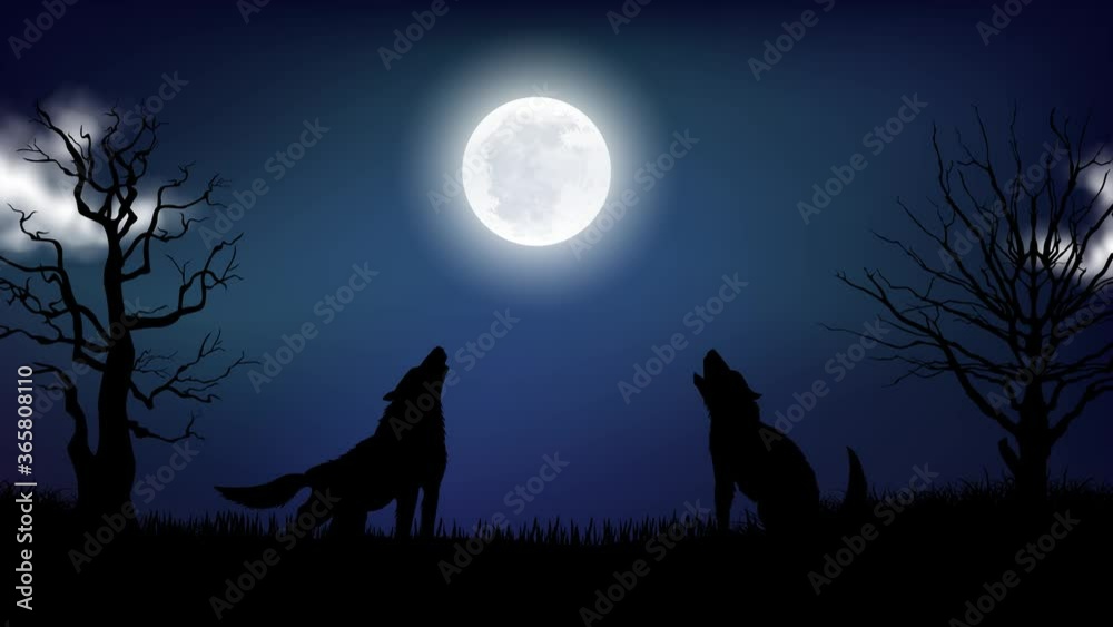 Wolves howling by looking up at moon and clouds passing by on the sky, Video animation, Motion graphics.