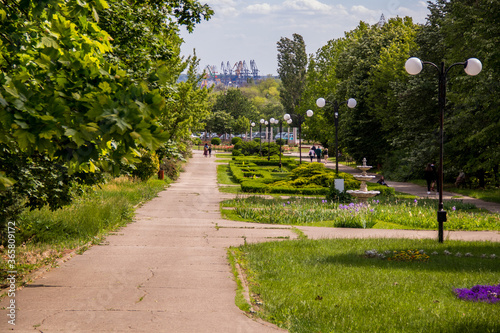 Alley on Botanical Garden of the Galati, Romania photo