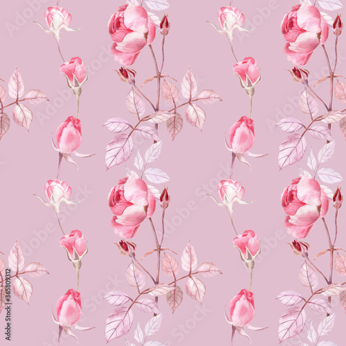 Seamless pattern with gentle roses on a deep pink background. Great for wallpapers, textile and home decor. Classic and elegant watercolor painting. 