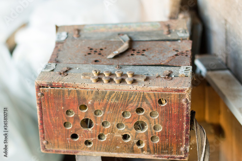ancien accordéon usé par le temps