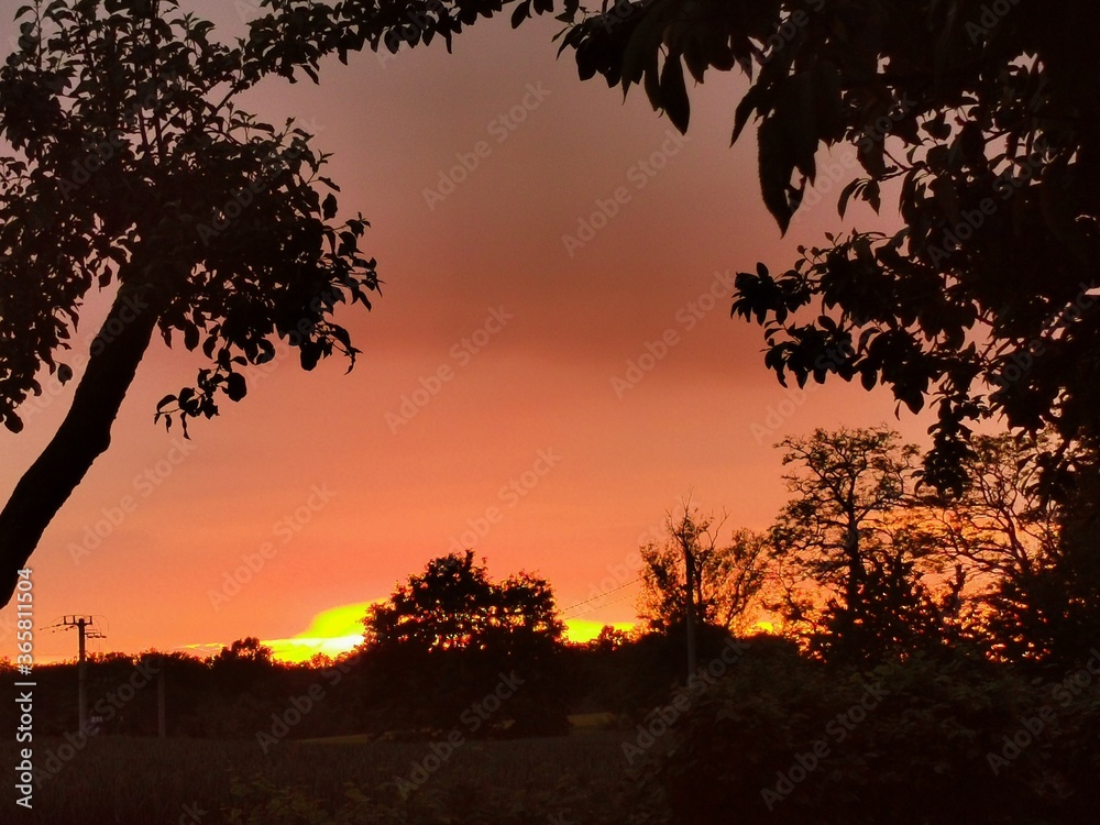 sunset in the park